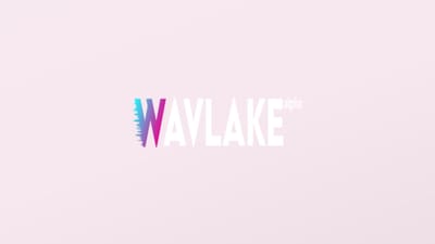 Listen To The Music: Introducing Wavlake