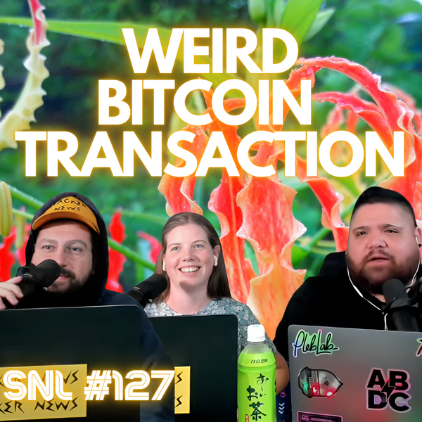 Weird Bitcoin Transaction with PlebPoet